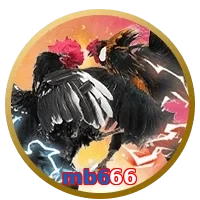 mb666