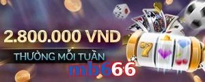mb666