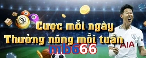 mb666